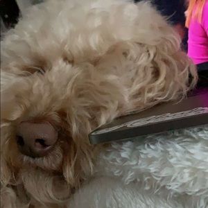 Meet your Posher, Macie